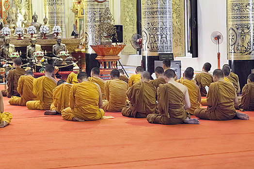 僧侣,祈祷,寺院,契迪,清迈,泰国,亚洲