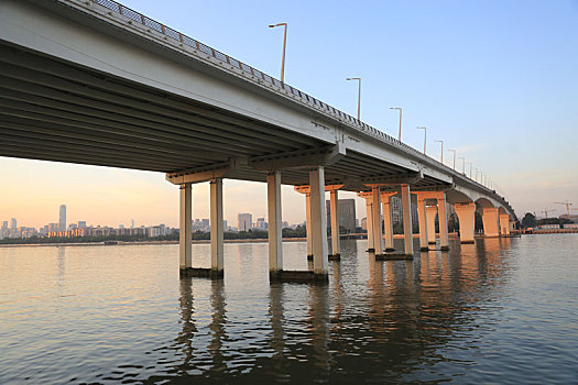 广州的桥