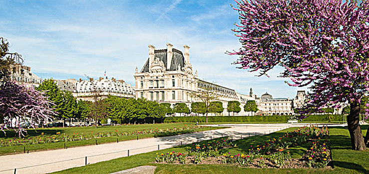 美女,风景,卢浮宫,宫殿,杜乐丽花园,巴黎