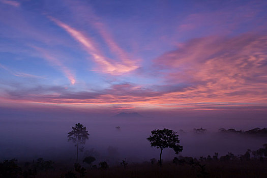 山谷,日出,国家公园,泰国