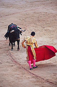 斗牛,节日,潘普洛纳,纳瓦拉,西班牙