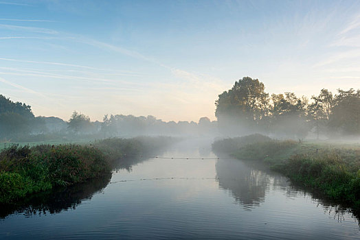河,早晨,雾气,荷兰