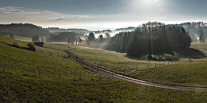 逆光,山谷,早晨,雾气,晴天,德国
