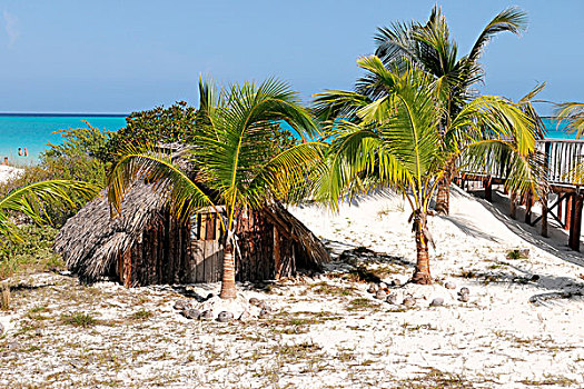 海滩小屋,存储,小屋,干盐湖,椰树,北海岸,古巴,大安的列斯群岛,加勒比海,中美洲,北美