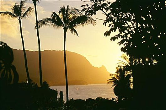 夏威夷,考艾岛,湾,巴厘海,黄色,日落,棕榈树,植被