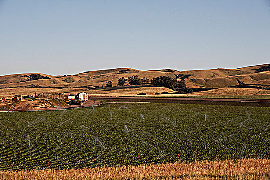 农业,洒水装置,土地,加利福尼亚,美国