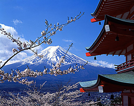 日本,山梨县,富士山,塔