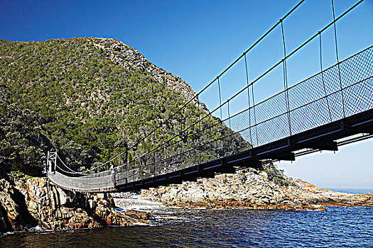 女人,站立,吊桥,齐齐卡马国家公园,风暴,河,东开普省,南非