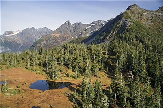 山中小湖,坐,树,山峦,通加斯国家森林,东南阿拉斯加,秋天