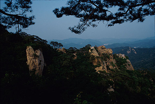 山峰,树林