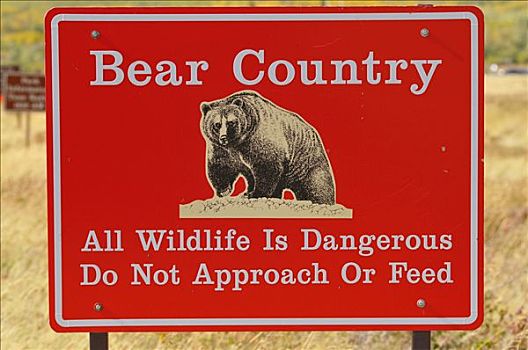 警告标识,熊