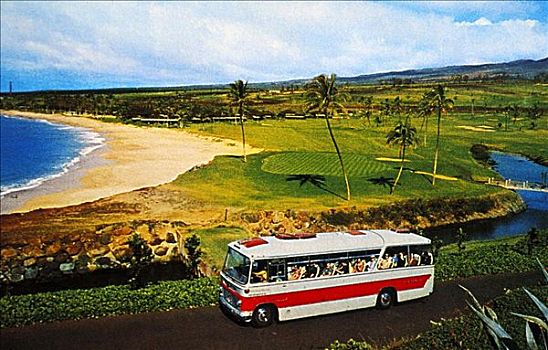 明信片,夏威夷,毛伊岛,巴士,驾驶,沿岸,道路,过去,卡亚纳帕里,海滩