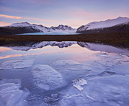 冰,湖,瓦特纳冰川国家公园,南,冰岛
