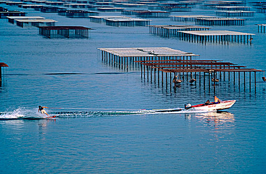 滑水,牡蛎养殖场,郎格多克,法国
