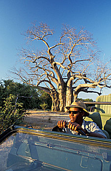 非洲,津巴布韦,国家公园,吉普车