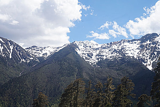 云南白马雪山