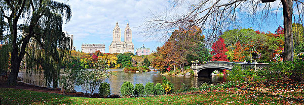 纽约,中央公园,秋天,全景