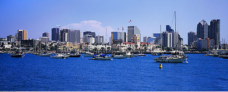 帆船,港口,圣地亚哥,加利福尼亚,美国