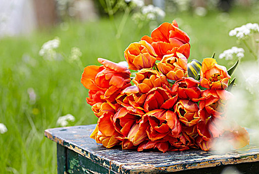 束,橙色,郁金香,花瓶,桌子,花园