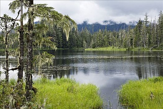 湖,通加斯国家森林,东南阿拉斯加