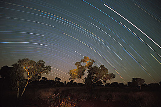 澳大利亚,西澳大利亚州,卡瑞吉尼国家公园