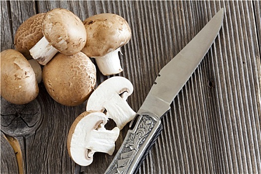 洋蘑菇,木头
