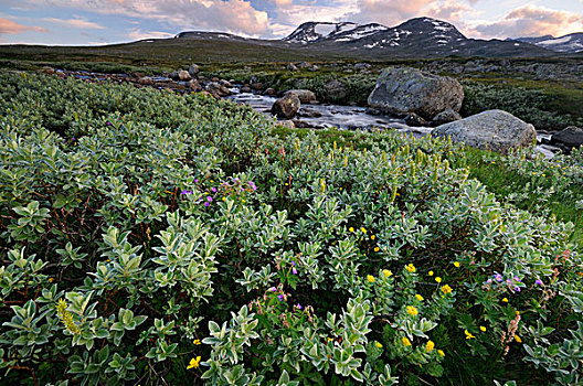山景,尤通黑门山,国家公园,挪威,斯堪的纳维亚,欧洲