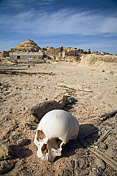 头骨,墓地,西瓦绿洲,埃及
