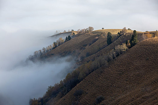 风景