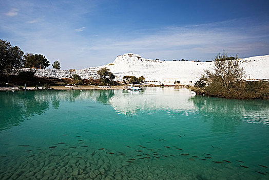 青绿色,水,水池,反射,白墙,矿物质,沉积,棉花堡,土耳其