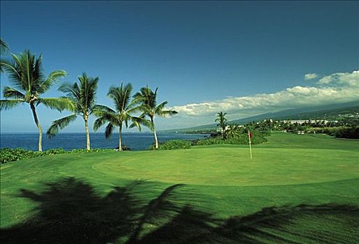 夏威夷,夏威夷大岛,乡村俱乐部,高尔夫球场
