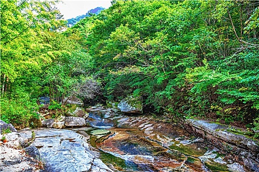 河,山林,韩国