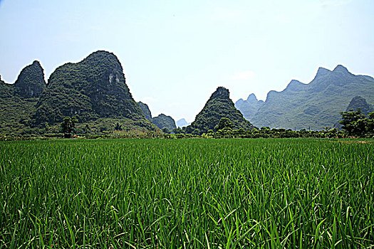 青山与麦田中国广西