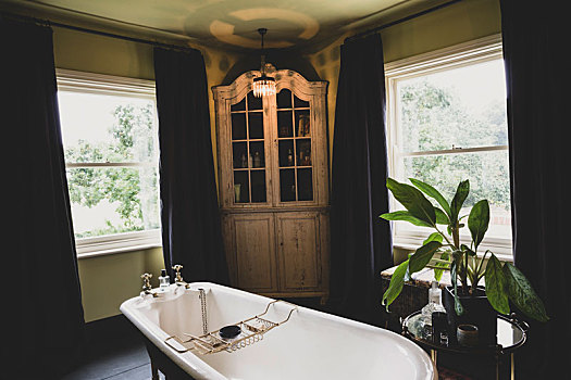 内景,浴室,木质,角,柜子,绶带,窗户,上面,黄铜