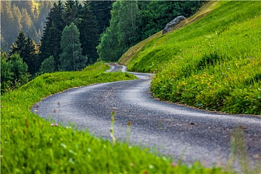 景色,道路,绿色,树林,瑞士