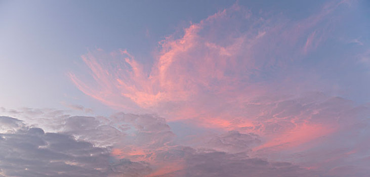 日落,粉色,云,空中