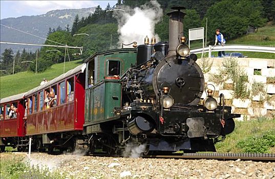 蒸汽机车,布莱特峰,建造,马塔角,瑞士