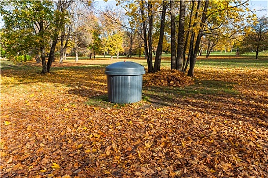 垃圾桶,秋天,公园