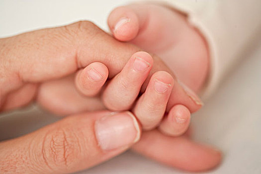 婴儿,母亲,握手,局部,特写
