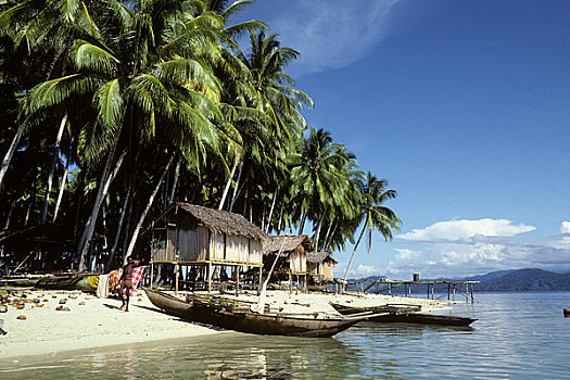 巴布亚新几内亚,岛屿,靠近,海滨城镇,椰树,独木舟