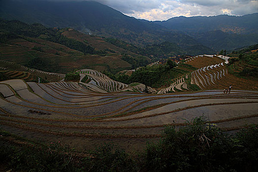 龙胜梯田