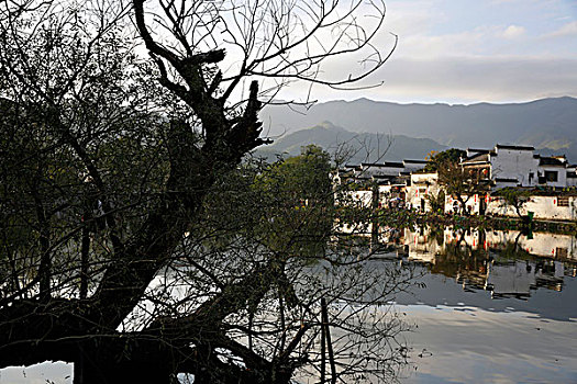 宏村南湖风景