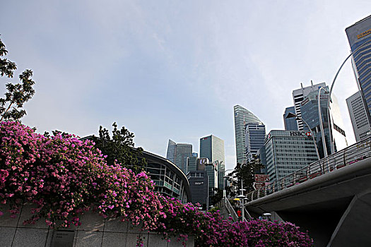 新加坡金融商务区鱼尾狮图片背景