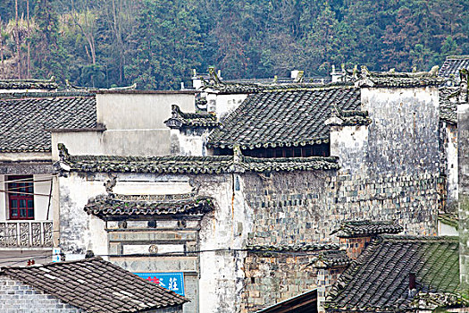 江西婺源,思溪延村,油菜花,徽派建筑,民居