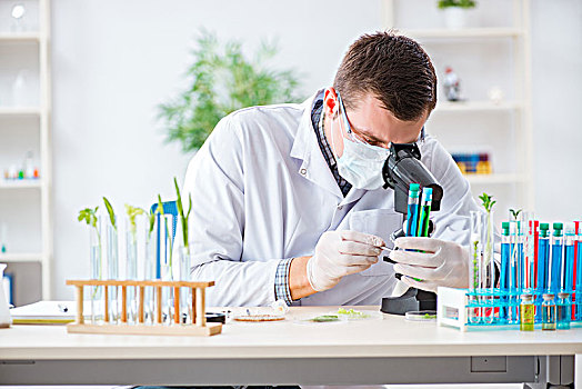 男性,工作,实验室,植物