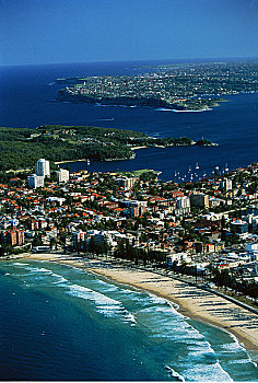 航拍,男人味,海滩,城市,悉尼,新南威尔士,澳大利亚