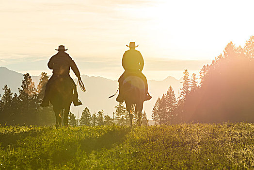 两个,牛仔,骑,骑马,草原,风景,日落