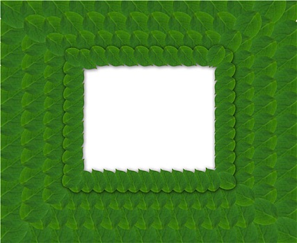 绿色,方形,框,叶子