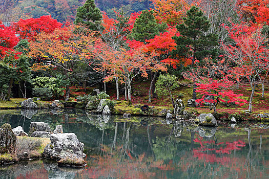 日本京都岚山天龙寺