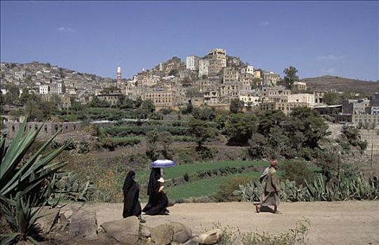 也门,乡村,计划